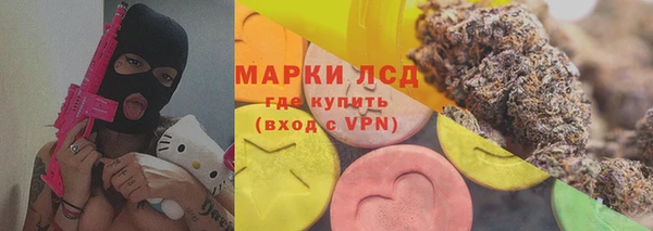 сатива Козловка