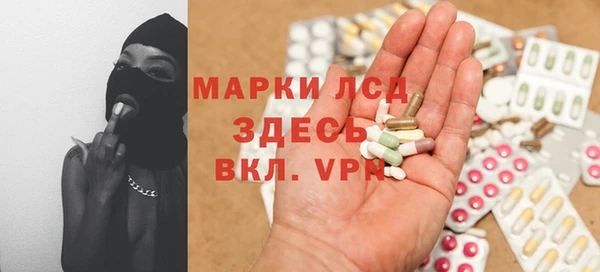 сатива Козловка
