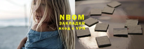 сатива Козловка