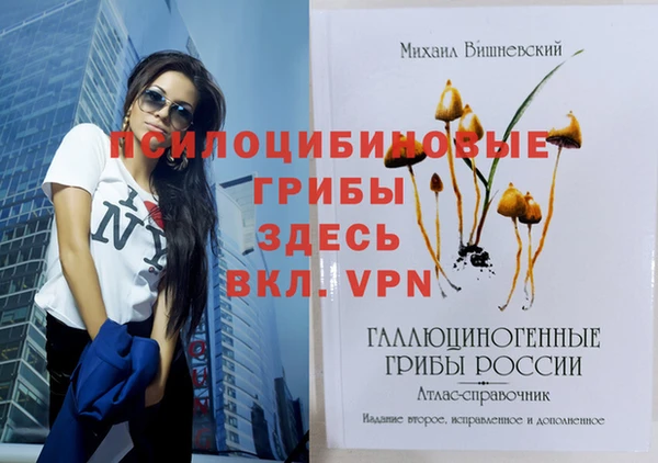скорость Кинешма