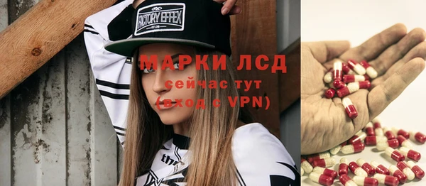 сатива Козловка